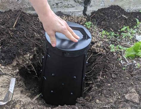 The Optimal pH of Vermicompost Bins 